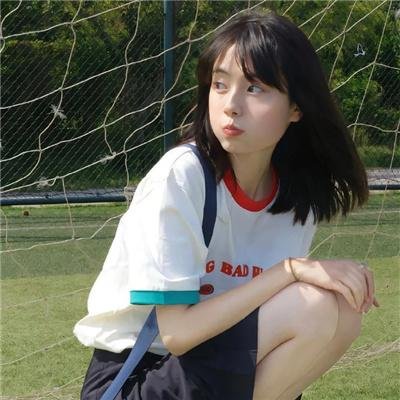 鲨与鲸